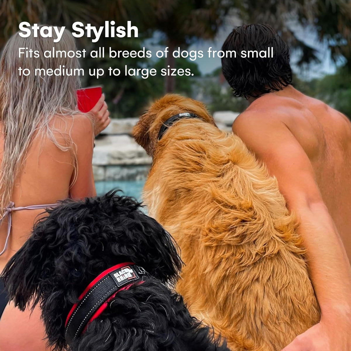 Two people with two dogs by a pool, with text about dog accessories.