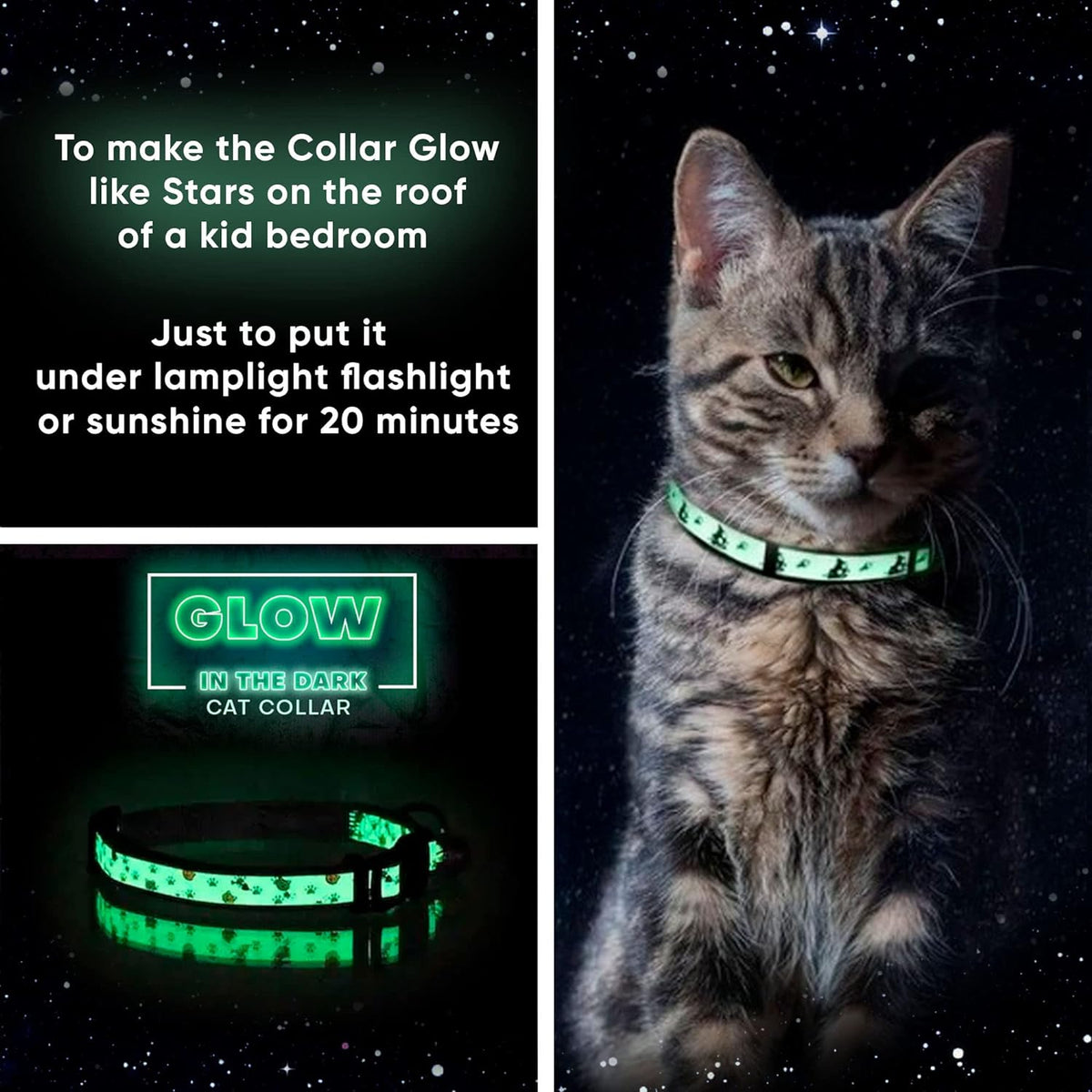 Cat wearing a glowing green collar with instructions on how to activate it.