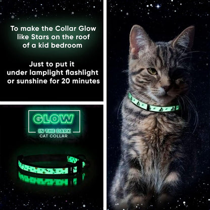 Cat wearing a glowing green collar with instructions on how to activate it.