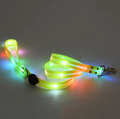Rechargeable LED Safety Pet Collar & Matching Nylon Leash Set