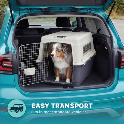 Dog in a pet carrier inside a teal car with 'Easy Transport' text and icon.