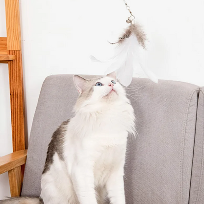 Cat Strong Suction Cup Window & Wall Toy Rod