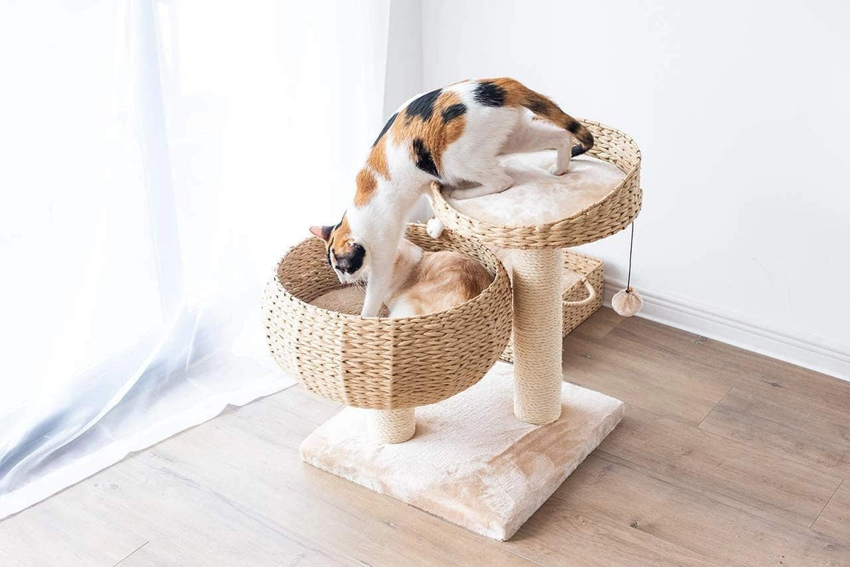 Cat playing with a toy on a cat tree in a room with light wood flooring and white walls.