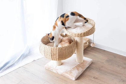 Cat playing with a toy on a cat tree in a room with light wood flooring and white walls.