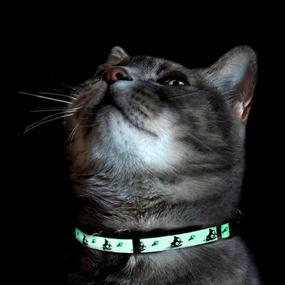 Cat wearing a green LED collar on a black background