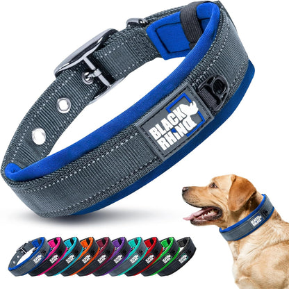 Gray and blue dog collar with 'Black Rhino' branding, shown on a white background with a dog wearing it.