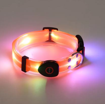 Rechargeable LED Safety Pet Collar & Matching Nylon Leash Set