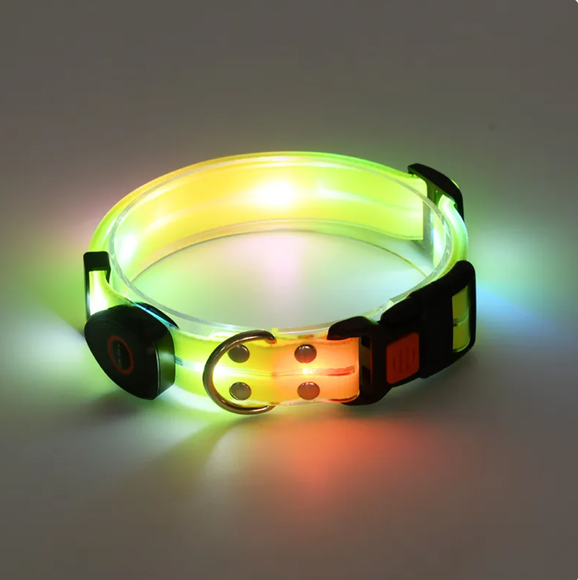 Rechargeable LED Safety Pet Collar & Matching Nylon Leash Set