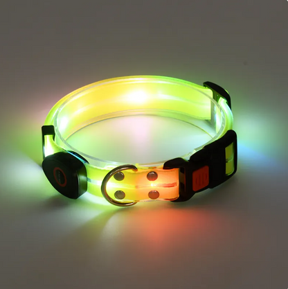 Rechargeable LED Safety Pet Collar & Matching Nylon Leash Set