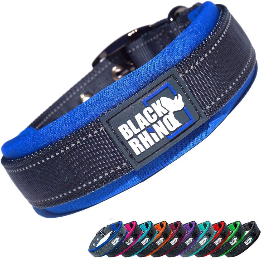 Blue dog collar with Black Rhino logo on a white background