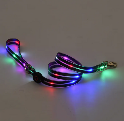 Rechargeable LED Safety Pet Collar & Matching Nylon Leash Set