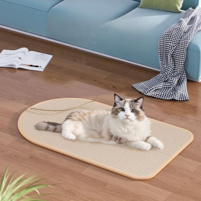 Sisal Cat Scratching Pad with Interactive Toy