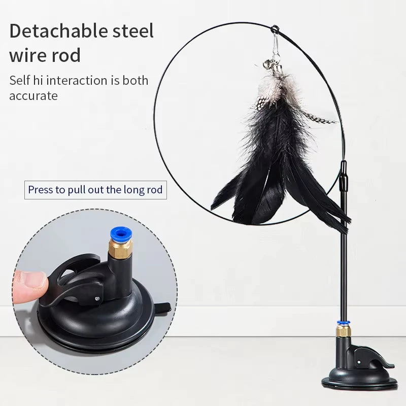 Interactive Suction Cup Teaser Wand