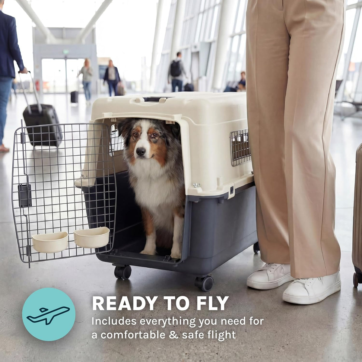 Dog in a pet carrier with text 'Ready to Fly' in an airport setting