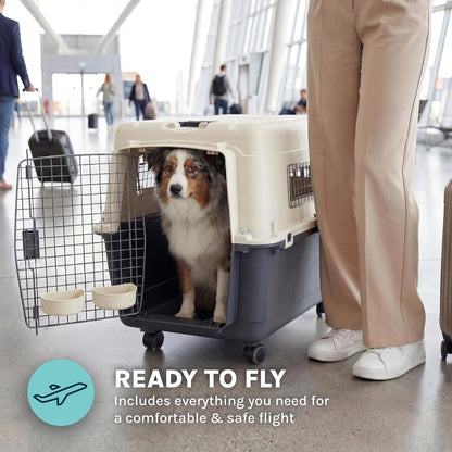 Dog in a pet carrier with text 'Ready to Fly' in an airport setting