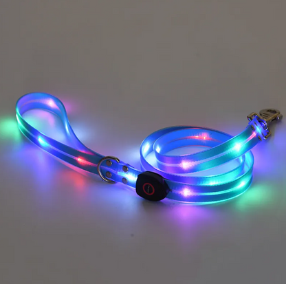 Rechargeable LED Safety Pet Collar & Matching Nylon Leash Set