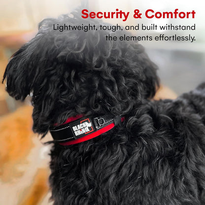 A close-up of a black curly-haired dog wearing a red and black collar with the brand name 'BLACK RANGEMAN' visible on the side. Text at the top reads 'Security & Comfort' with supporting descriptive copy.