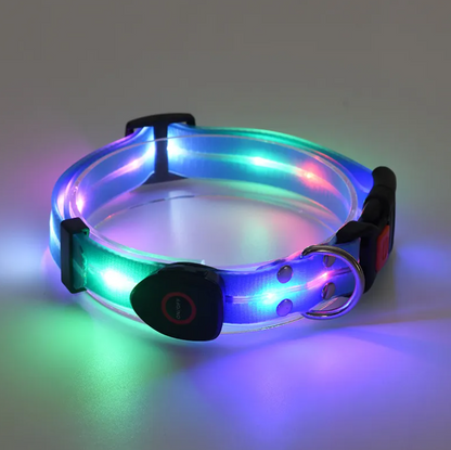 Rechargeable LED Safety Pet Collar & Matching Nylon Leash Set