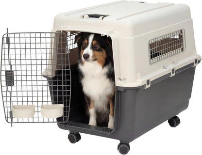 Dog inside a pet carrier with wheels on a white background