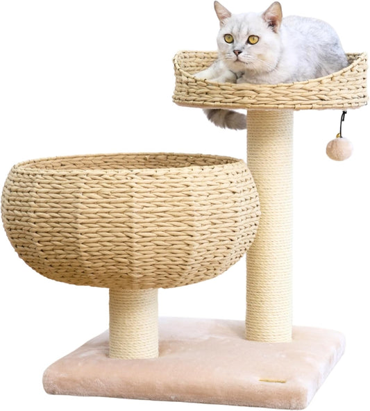 Cat sitting on a two-level wicker cat tree with a white background