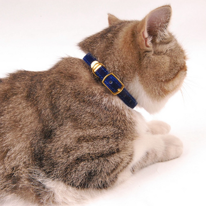 Stylish Breakaway Safety Cat Collar