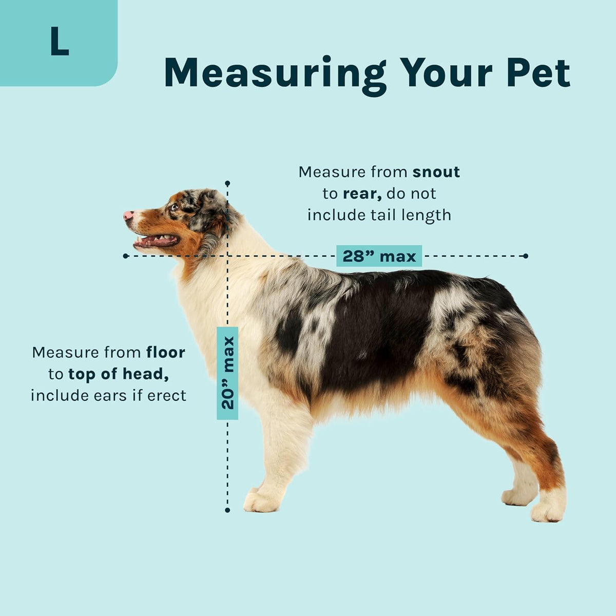 Measurement chart for dogs with a blue background and a dog illustration.