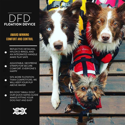 Three dogs wearing life jackets with text about a DFD (Dog Floatation Device) on the left.