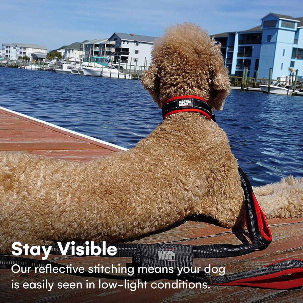 A curly-haired dog sits on a wooden dock by the water, wearing a red and black reflective dog collar and leash. Text at the bottom reads, 'Stay Visible Our reflective stitching means your dog is easily seen in low-light conditions.