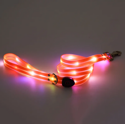 Rechargeable LED Safety Pet Collar & Matching Nylon Leash Set