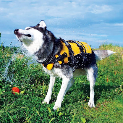 Dog wearing a yellow and black life jacket outdoors on grass with a blue sky.